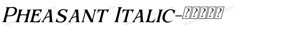 Pheasant Italic字体转换